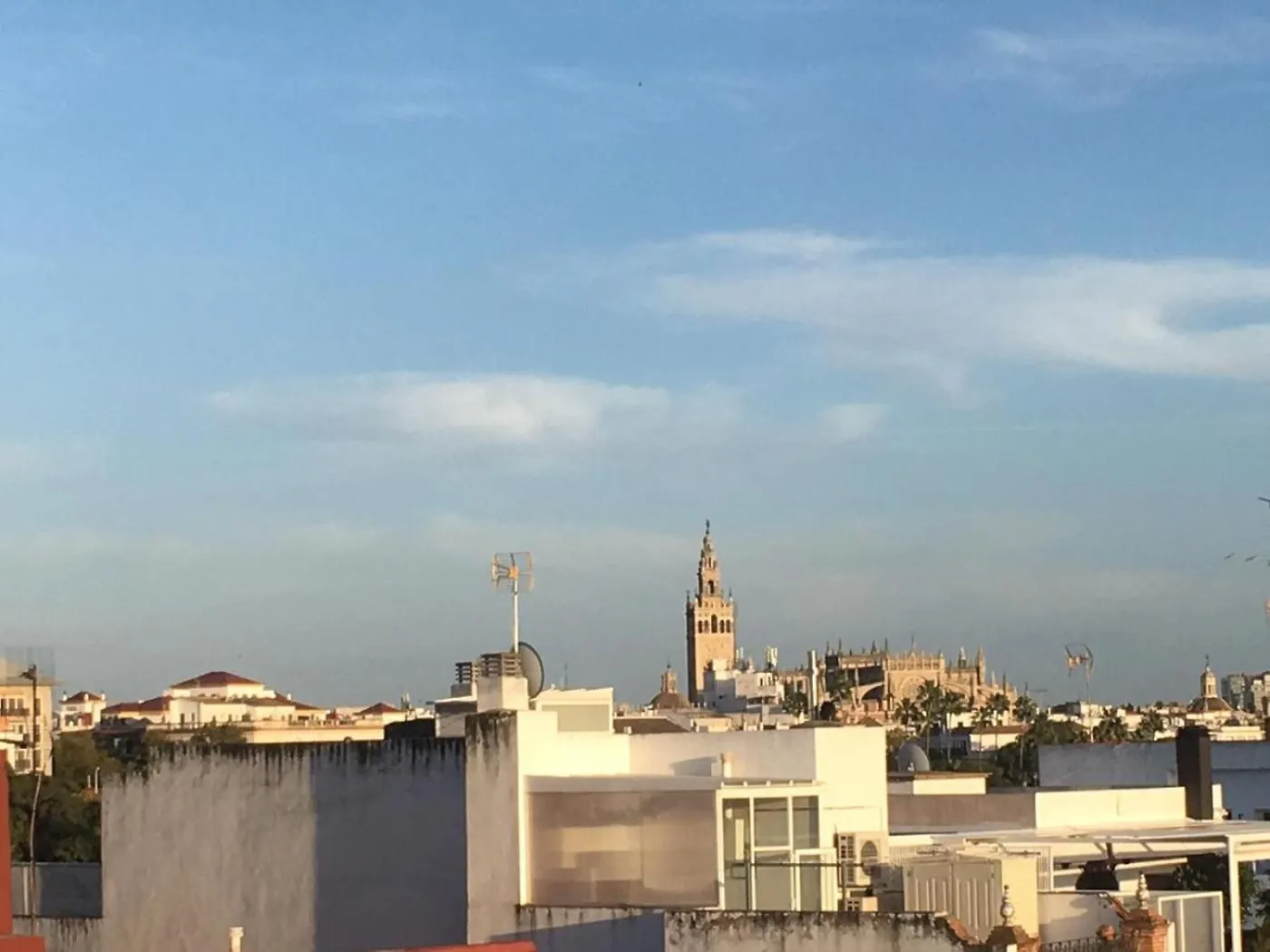 Contacten van Esencia Triana